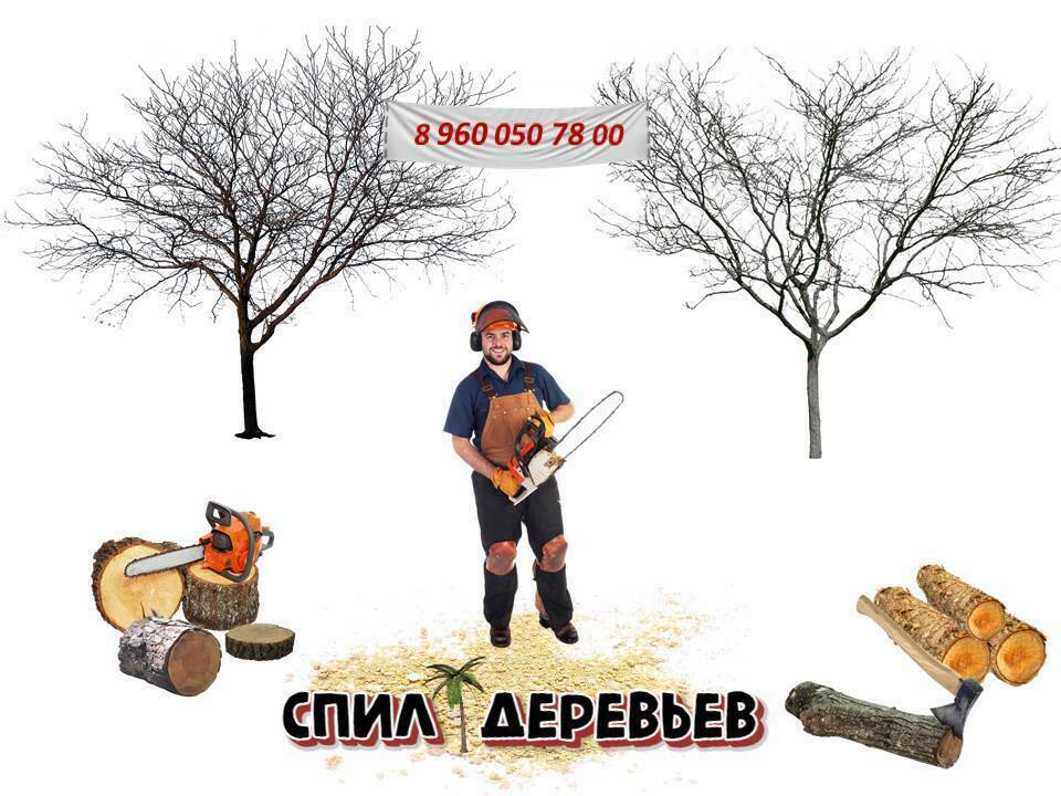 Спил | Вырубка деревьев, кустарников в Казани